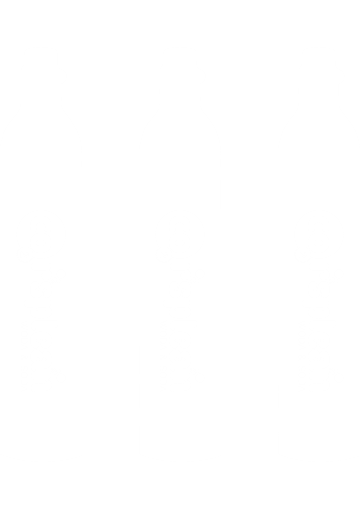 CORSPLEAN NAPEŁNIENIE BUTLI CO2 (425g) DO SATURATORA